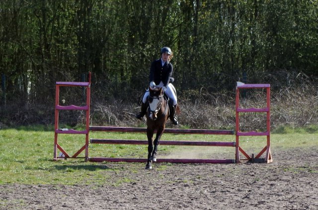 Reitertag_2019
